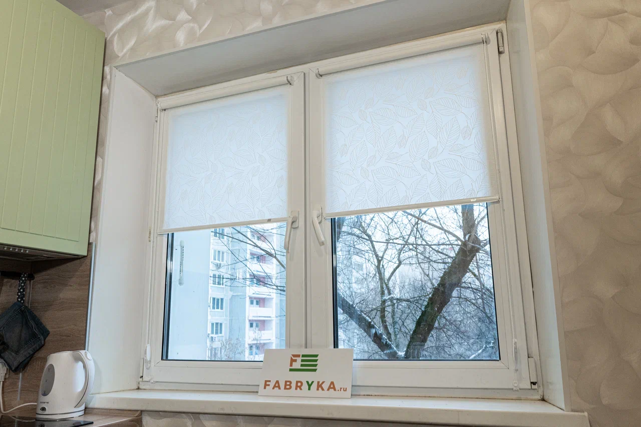 Виды рольштор